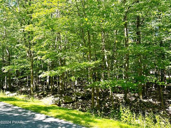 0.39 Acres of Residential Land for Sale in Lake Ariel, Pennsylvania