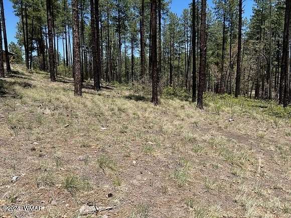 1 Acre of Residential Land for Sale in Alpine, Arizona