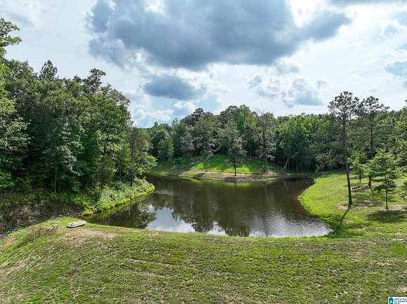 31 Acres of Recreational Land for Sale in Calera, Alabama