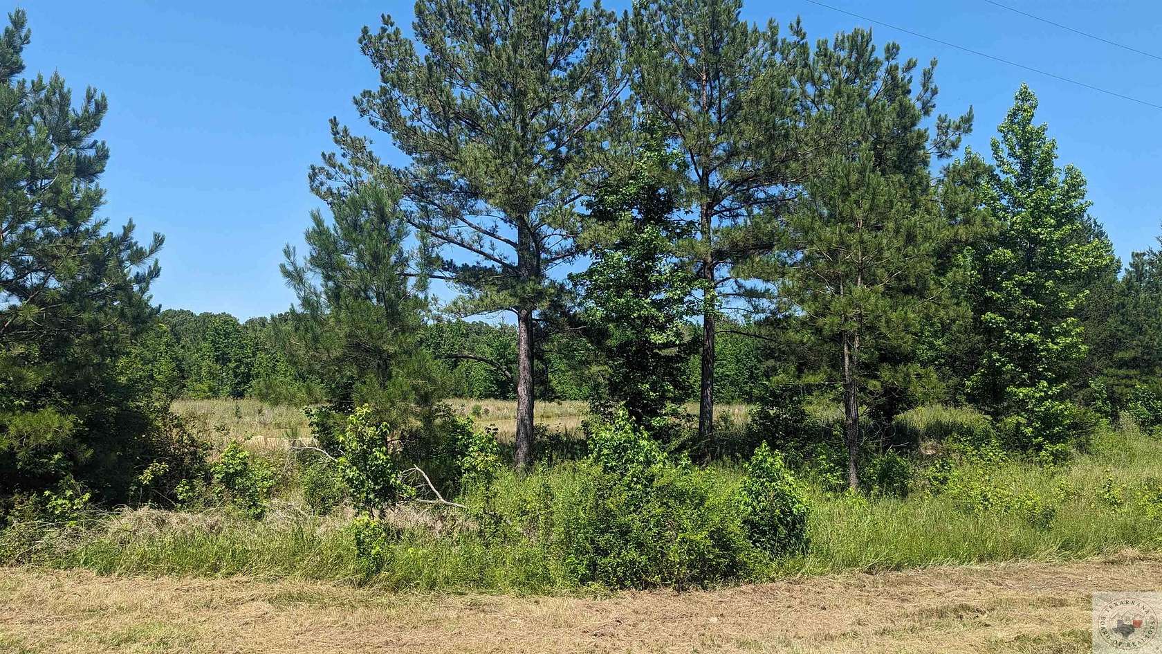 23.8 Acres of Recreational Land for Sale in Simms, Texas