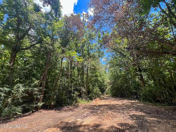 60 Acres of Recreational Land for Sale in Lucedale, Mississippi