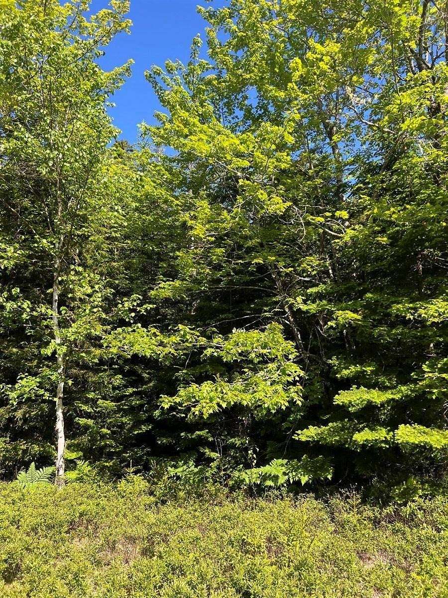 4.2 Acres of Land for Sale in Gouldsboro, Maine