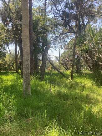 1 Acre of Land for Sale in Waldo, Florida