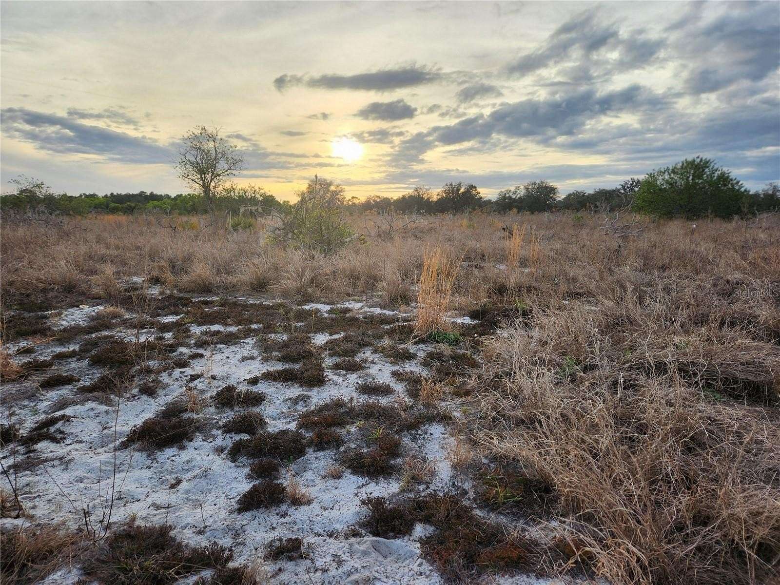 9.86 Acres of Residential Land for Sale in Frostproof, Florida