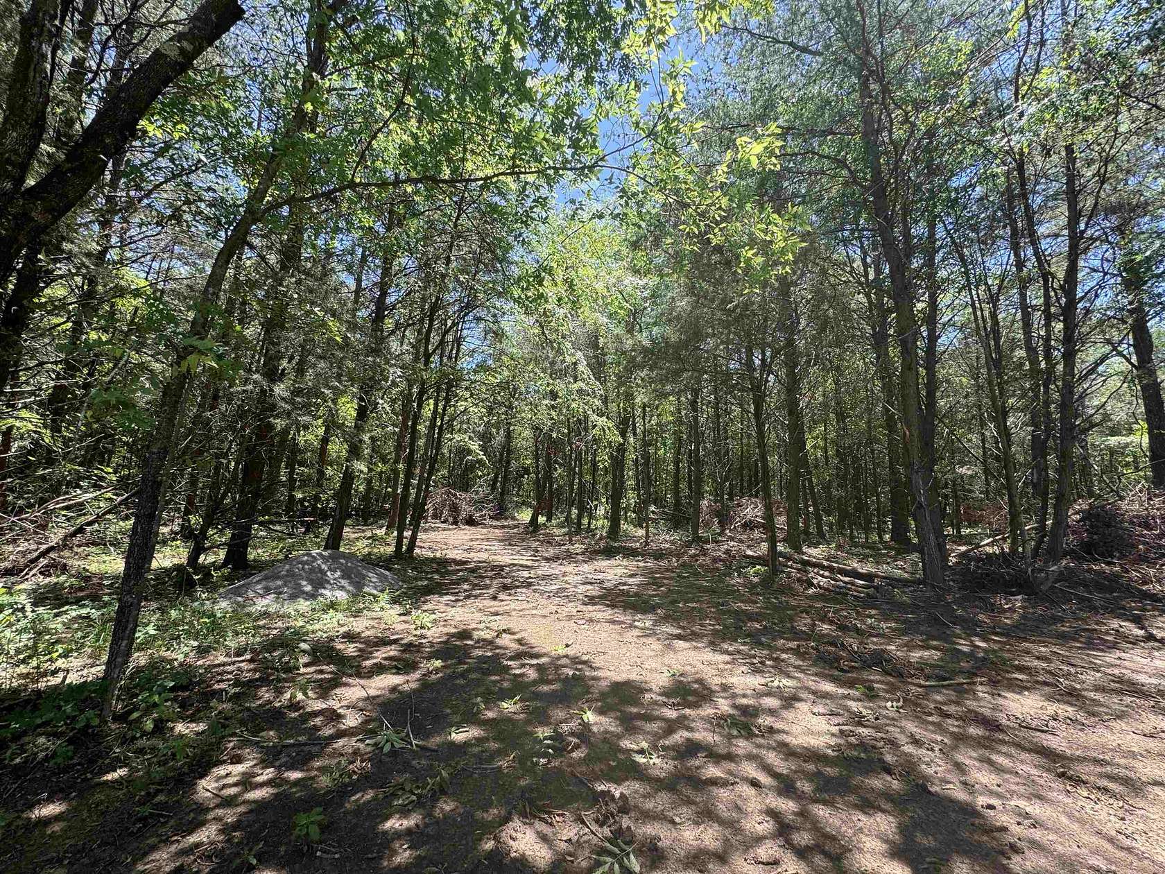 20 Acres of Recreational Land for Sale in Russellville, Alabama