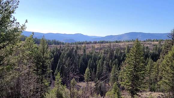 40 Acres of Recreational Land for Sale in Curlew, Washington