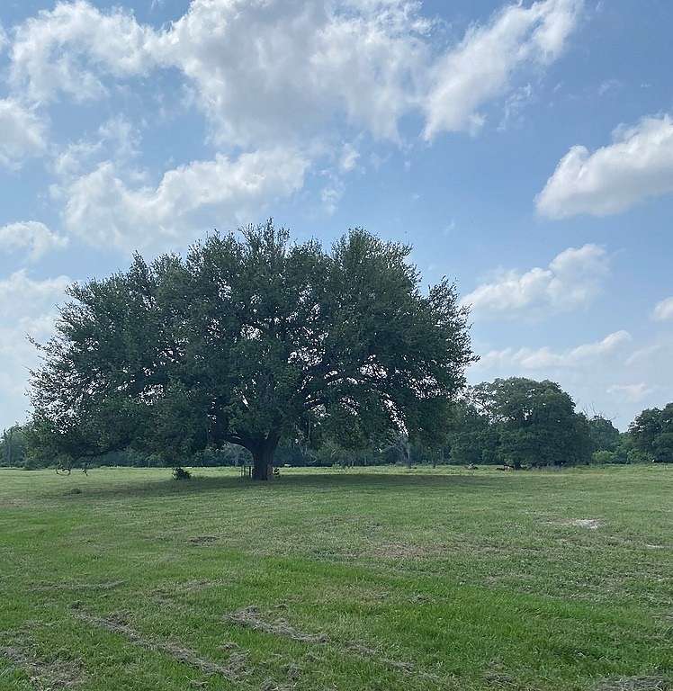 21.24 Acres of Land with Home for Sale in Flatonia, Texas