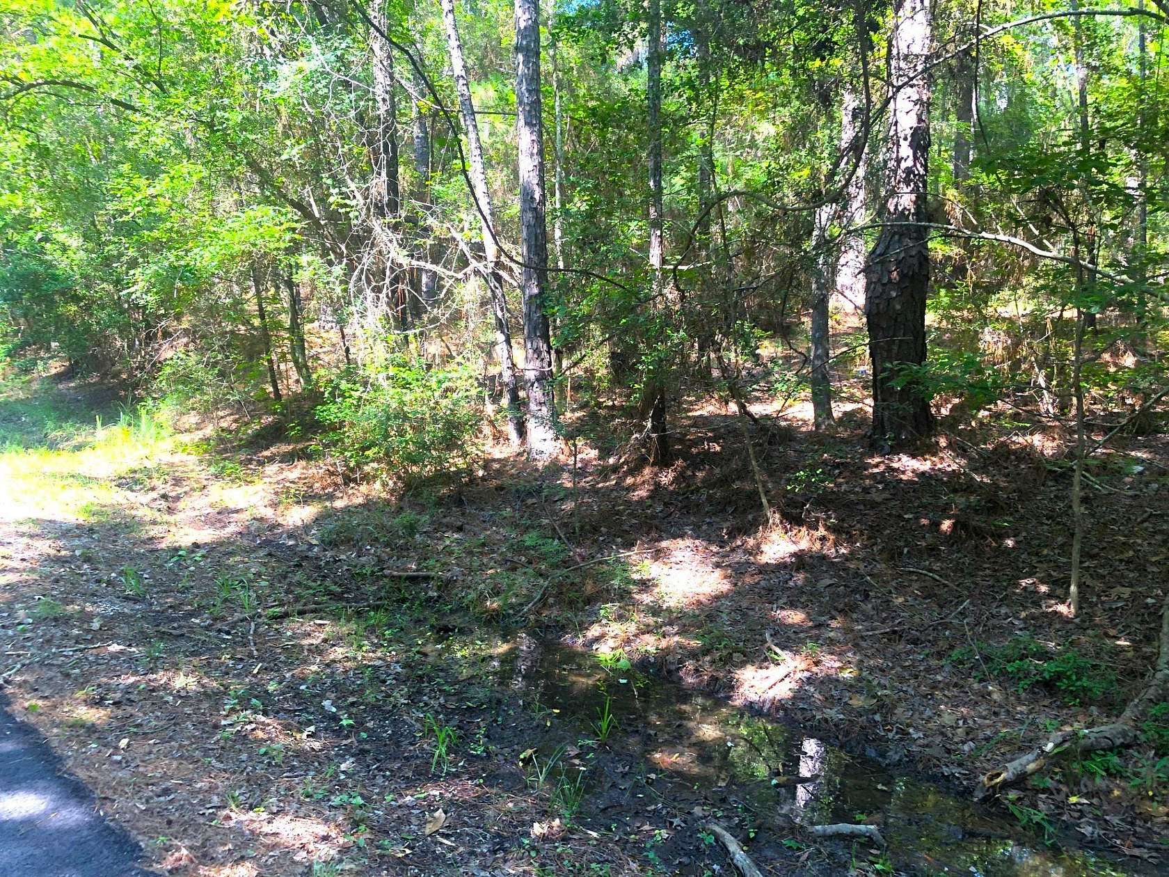 0.3 Acres of Residential Land for Sale in Brookeland, Texas