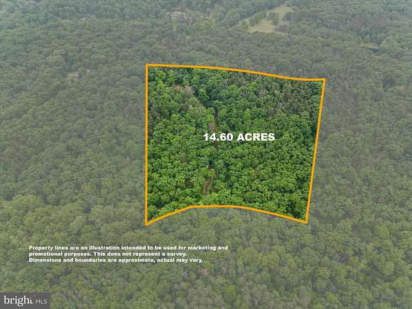14.6 Acres of Land for Sale in Cross Junction, Virginia