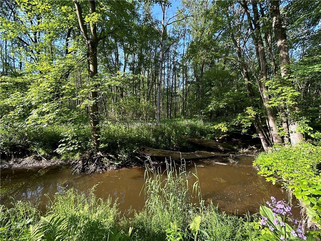 5.23 Acres of Land for Sale in Butler Town, New York