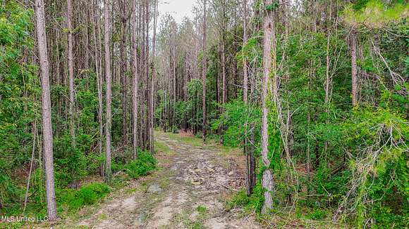 10 Acres of Residential Land for Sale in Pisgah, Mississippi