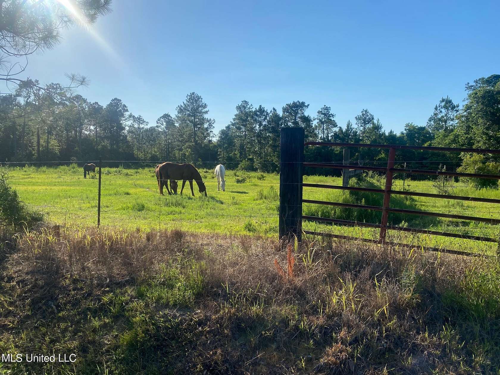 40 Acres of Land for Sale in Pass Christian, Mississippi