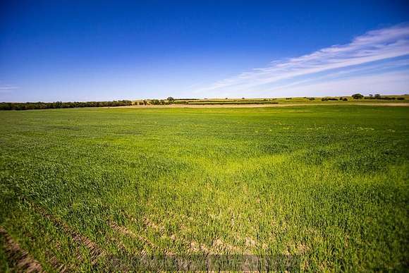 320 Acres of Agricultural Land for Sale in Sargent, Nebraska