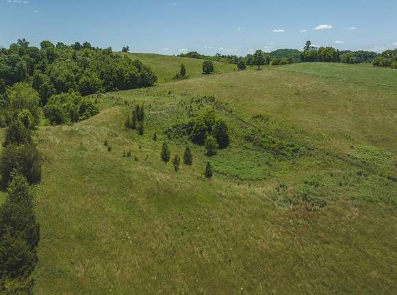 12.69 Acres of Land for Auction in Russellville, Tennessee