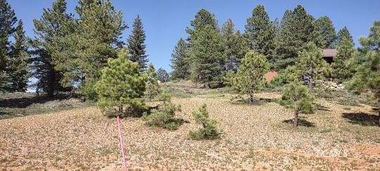 0.62 Acres of Residential Land for Sale in Duck Creek Village, Utah