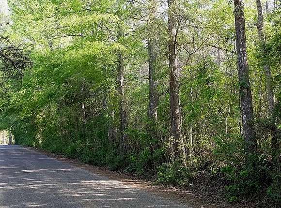 1 Acre of Residential Land for Sale in Ruth, Mississippi