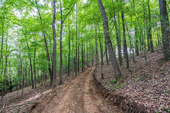 50 Acres of Recreational Land for Sale in Laurel Springs, North Carolina