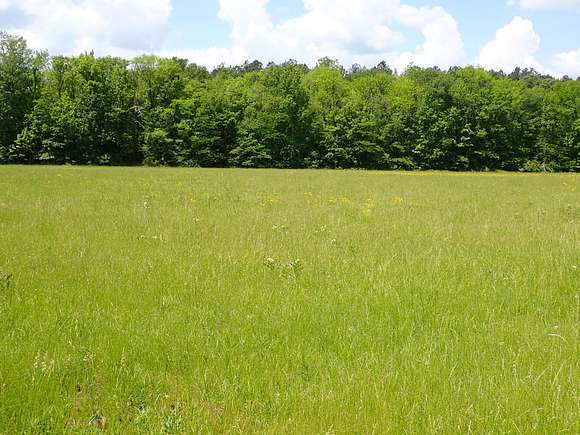 868 Acres of Agricultural Land for Sale in Pine Apple, Alabama