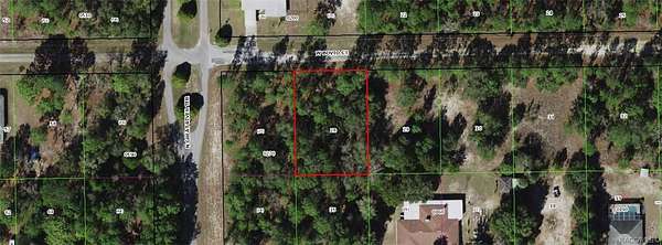 0.36 Acres of Land for Sale in Dunnellon, Florida