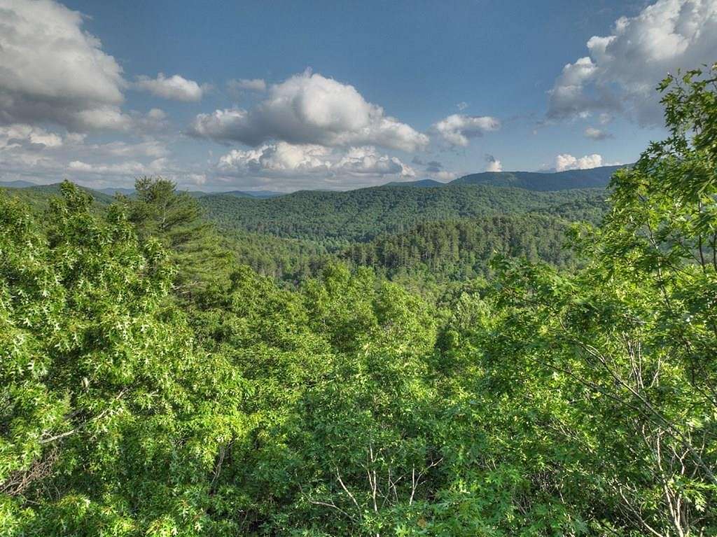 2 Acres of Residential Land for Sale in Blue Ridge, Georgia