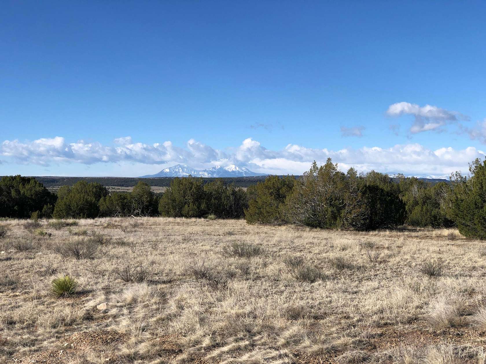 35 Acres of Recreational Land for Sale in Pueblo, Colorado