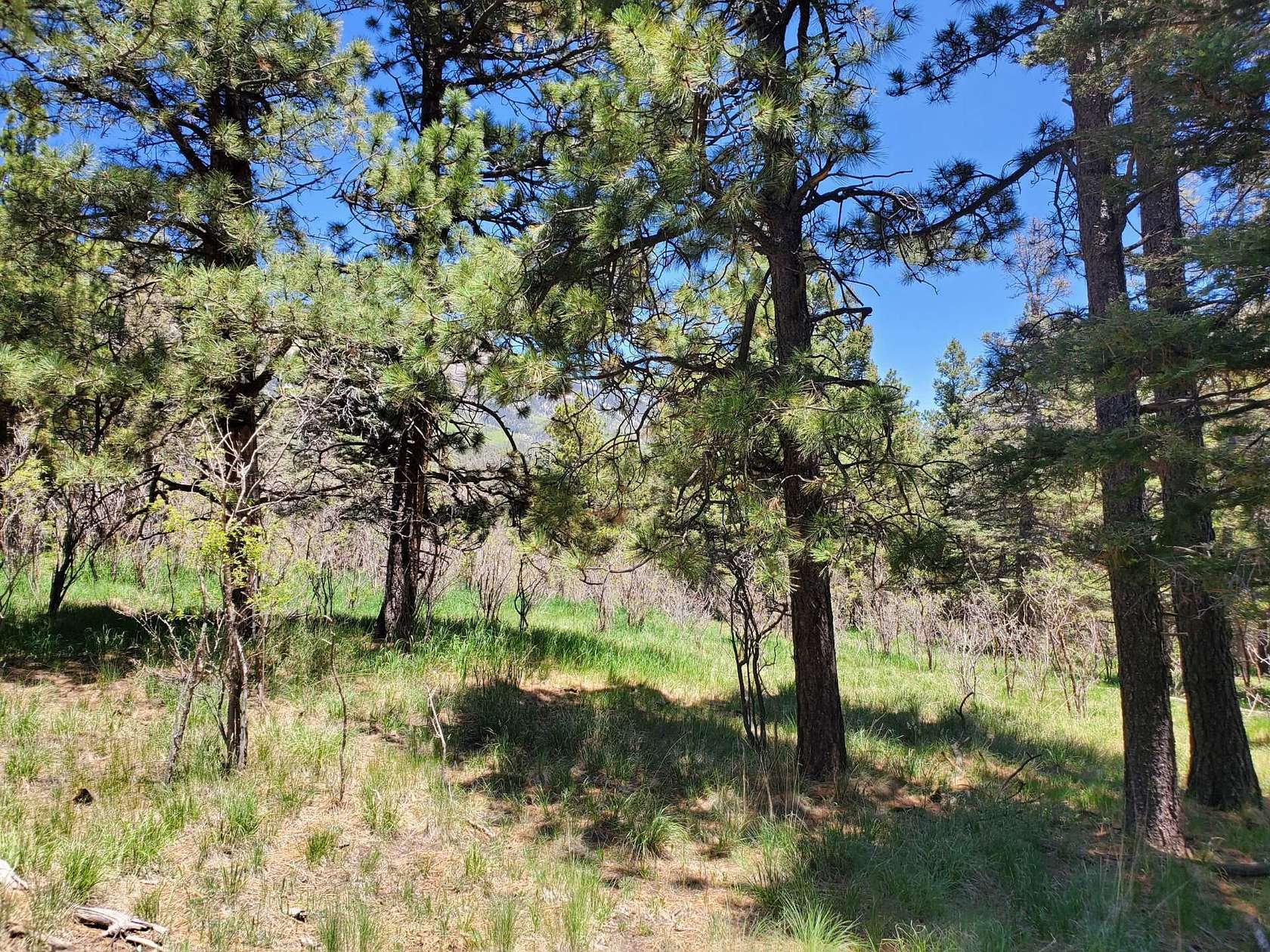 1.14 Acres of Land for Sale in Aguilar, Colorado