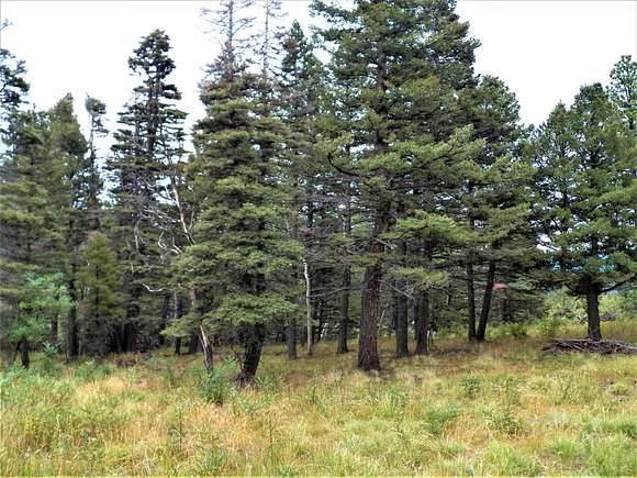 0.806 Acres of Land for Sale in Aguilar, Colorado