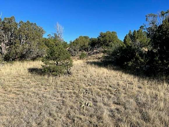 2 Acres of Land for Sale in Walsenburg, Colorado