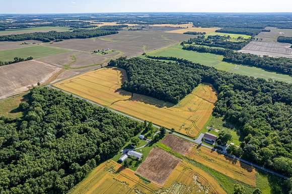 38.33 Acres of Recreational Land & Farm for Sale in Cisne, Illinois