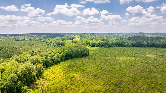 200.97 Acres of Recreational Land for Sale in Lockesburg, Arkansas
