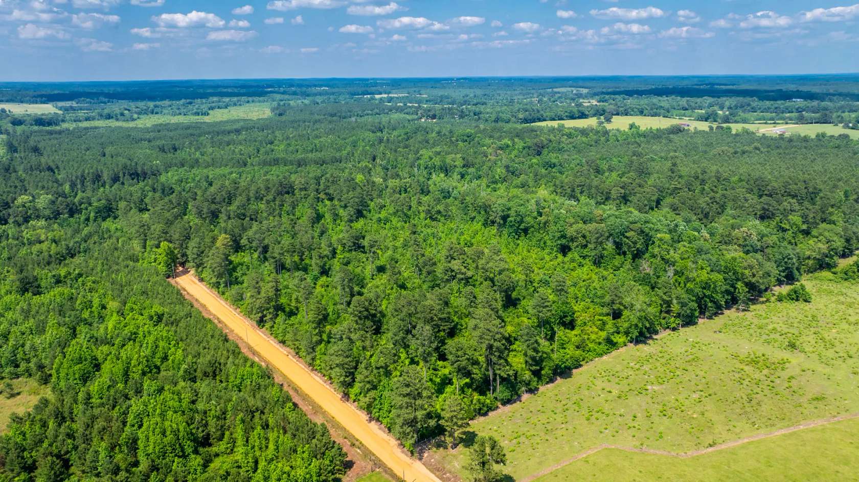 41 Acres of Recreational Land for Sale in Lewisville, Arkansas - LandSearch