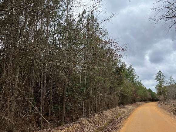 25 Acres of Recreational Land for Sale in Sparkman, Arkansas