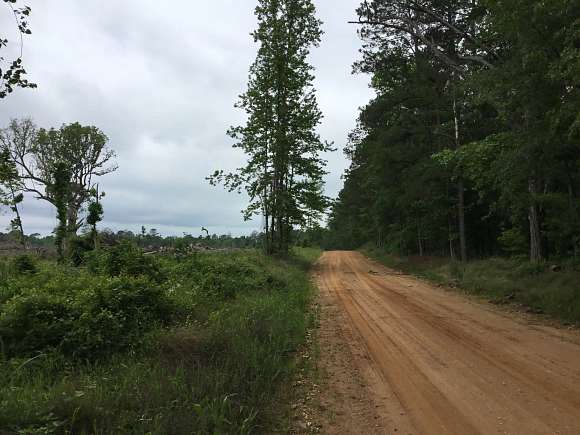 20 Acres of Recreational Land for Sale in Rosston, Arkansas