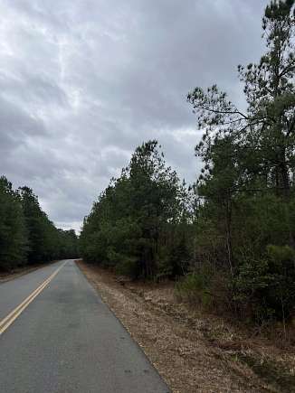 20 Acres of Recreational Land for Sale in Sparkman, Arkansas