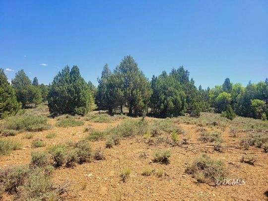 1.46 Acres of Residential Land for Sale in Duck Creek Village, Utah