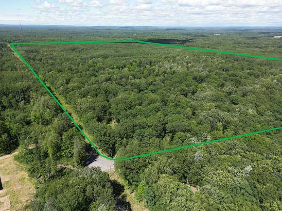 29.66 Acres of Agricultural Land for Sale in Free Soil, Michigan