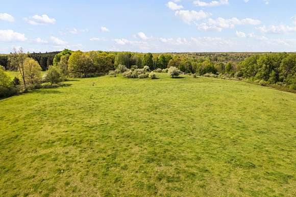 40 Acres of Agricultural Land for Sale in Luther, Michigan