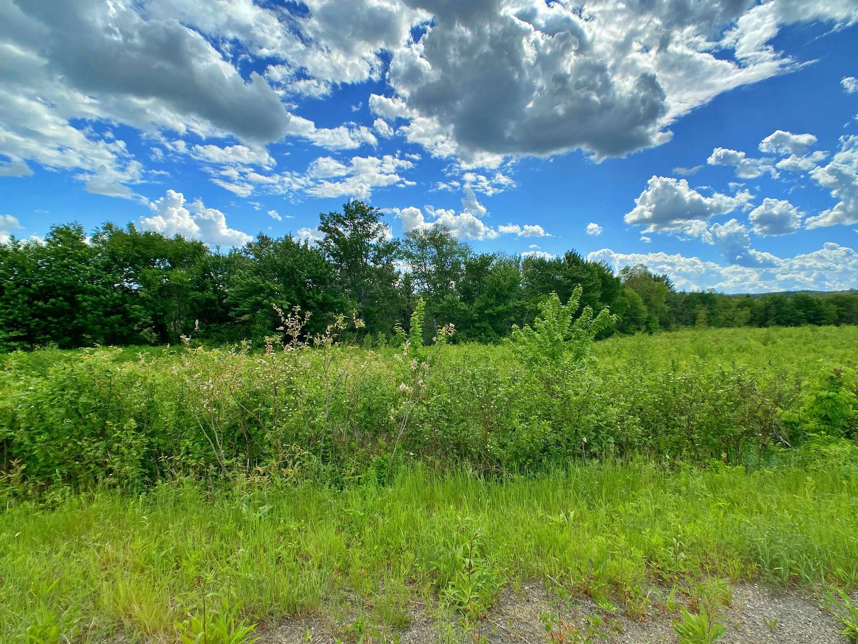 170 Acres of Agricultural Land for Sale in Frenchville, Maine