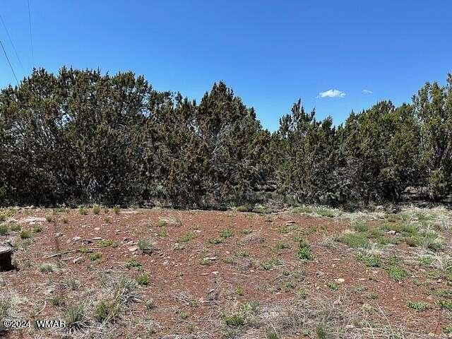 0.38 Acres of Residential Land for Sale in Vernon, Arizona