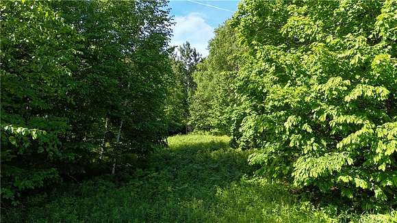 80 Acres of Recreational Land for Sale in Mason, Wisconsin