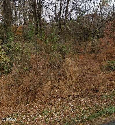 0.58 Acres of Residential Land for Sale in Jonesborough, Tennessee