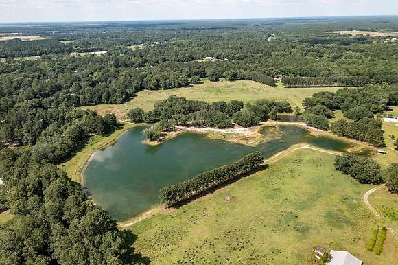 65 Acres of Agricultural Land for Sale in Leesburg, Georgia