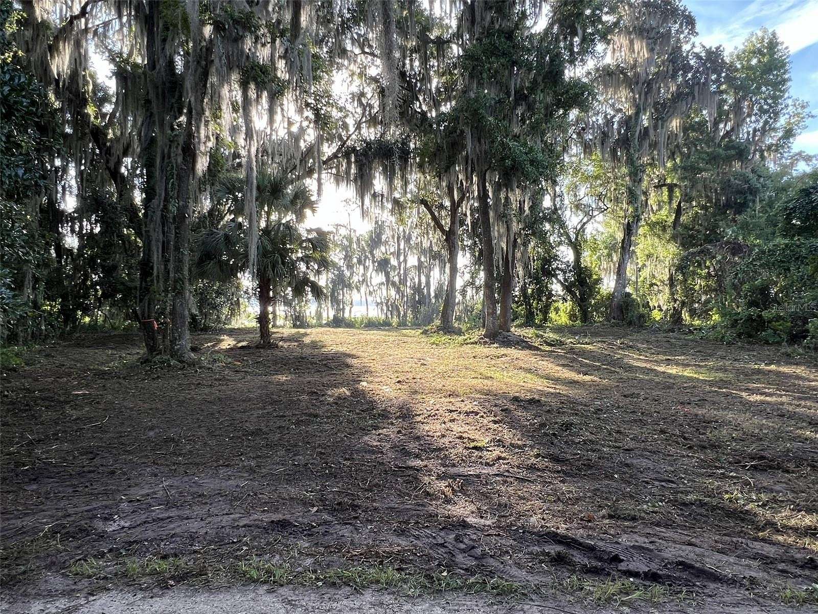 2.89 Acres of Residential Land for Sale in Waldo, Florida