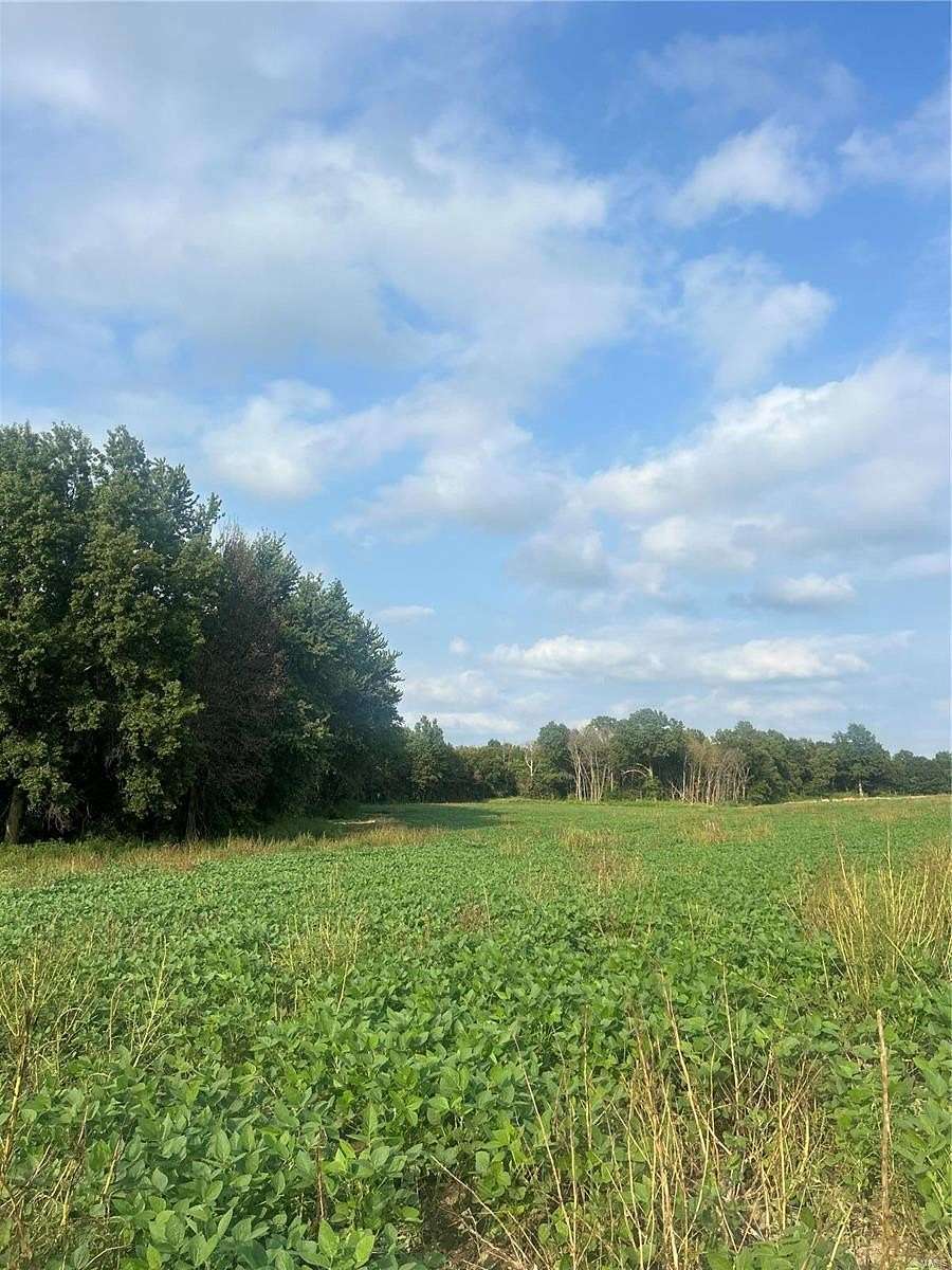 26.8 Acres of Agricultural Land for Sale in Middletown, Missouri