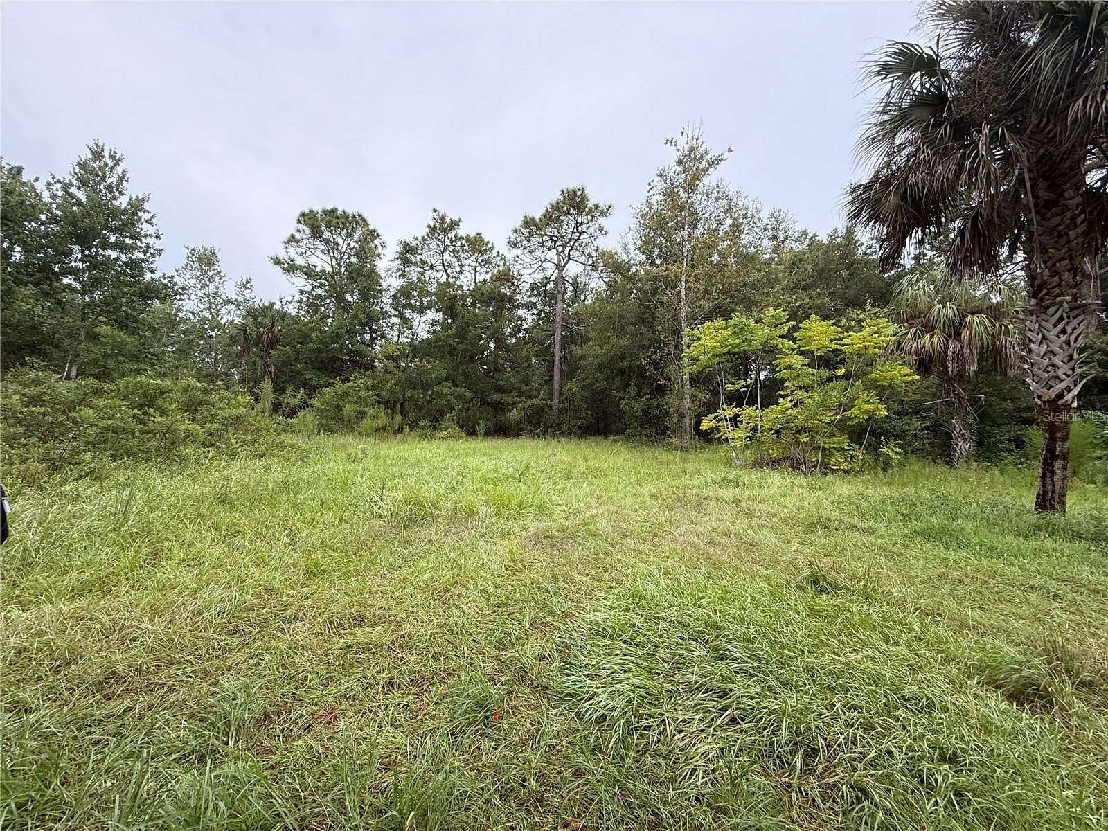 0.2 Acres of Land for Sale in Homosassa, Florida
