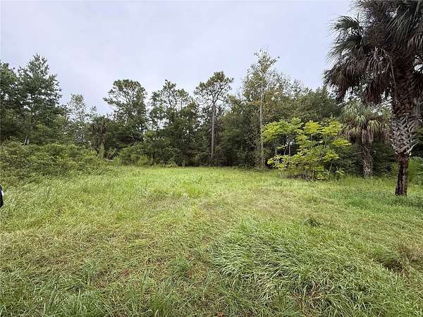 0.2 Acres of Land for Sale in Homosassa, Florida