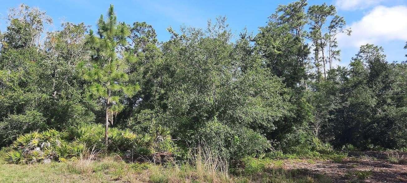 1 Acre of Residential Land for Sale in Indian Lake Estates, Florida