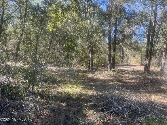 1 Acres of Residential Land for Sale in Melrose, Florida