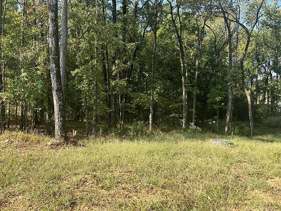 0.39 Acres of Residential Land for Sale in Hot Springs, Arkansas