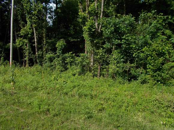 5 Acres of Land for Sale in Little Rock, Arkansas